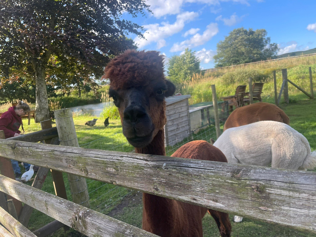 Llwyn Onn Guest House主图