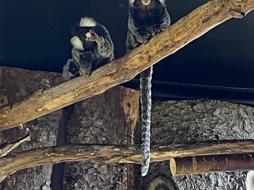 Varbergs Tropikarium景点图片