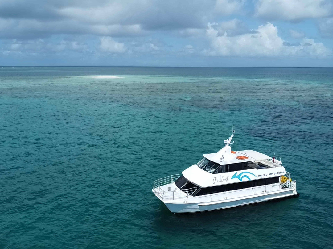 Dunk Island Reef Adventures景点图片