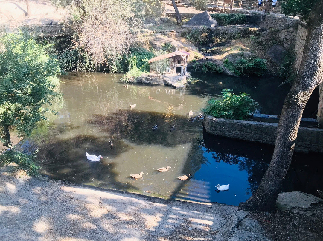 Parque de los Pinos景点图片