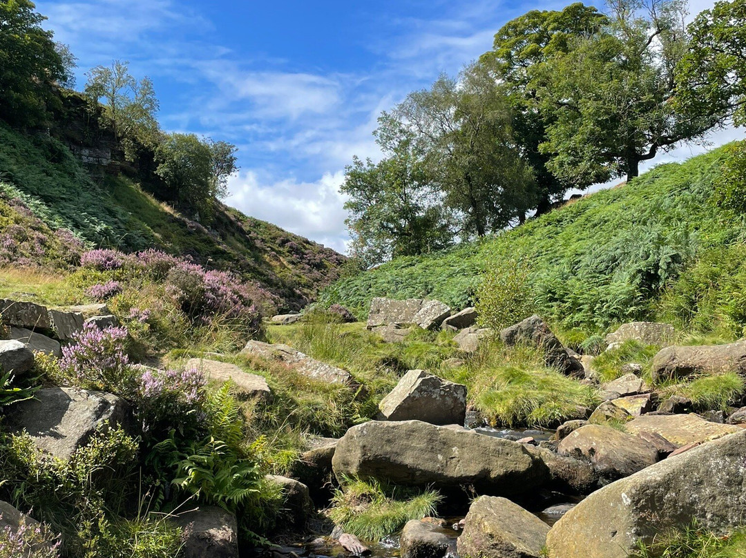 Bronte Waterfall景点图片