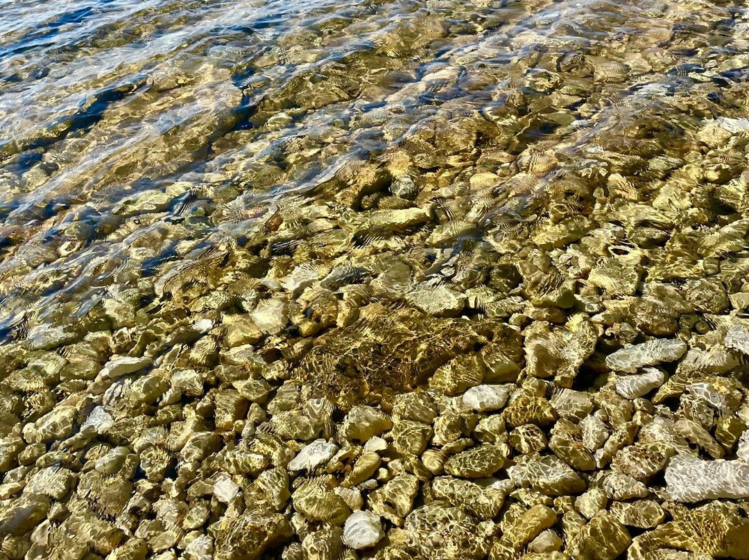 Arena Grand Kazela Camping Homes