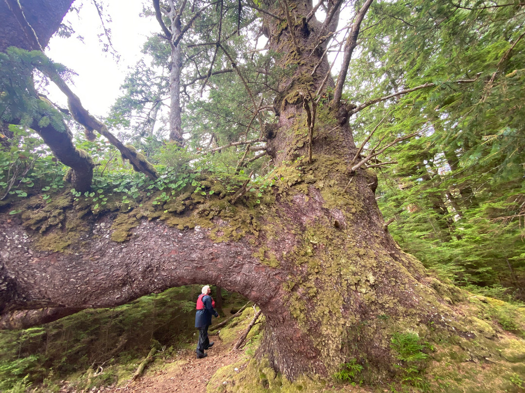 Atlas Ocean Tours-Daajing Giids必去景点