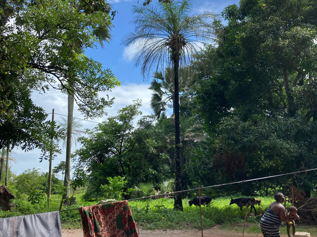 Casamance Vtt景点图片