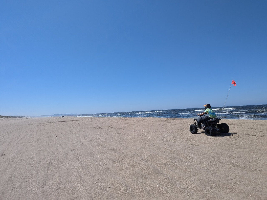 Steve's ATV-North Bend必去景点