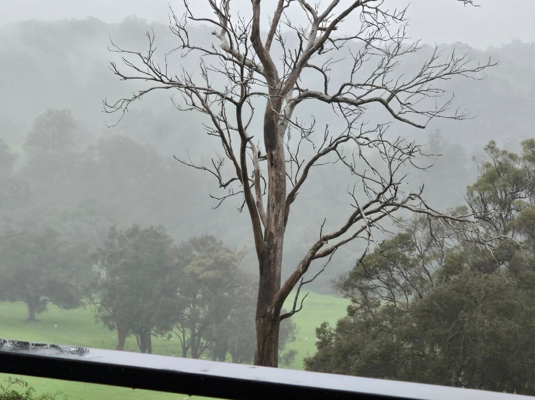 斯卡勒特森林度假屋主图