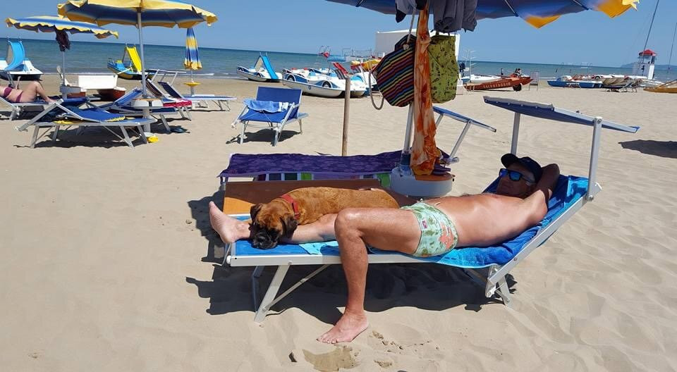 Rimini Dog No Problem - Bagno 81景点图片