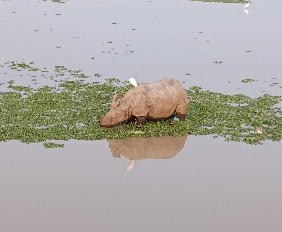 IORA - The Retreat, Kaziranga主图