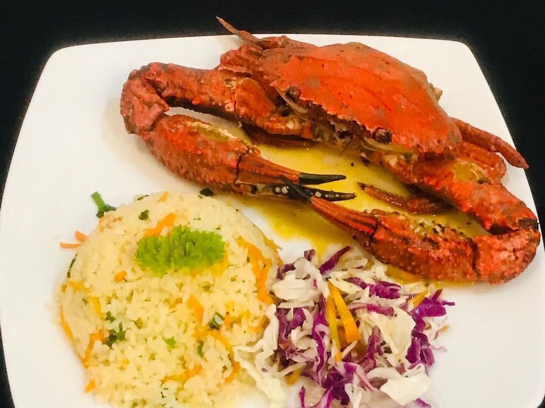 Esprit Bentota主图