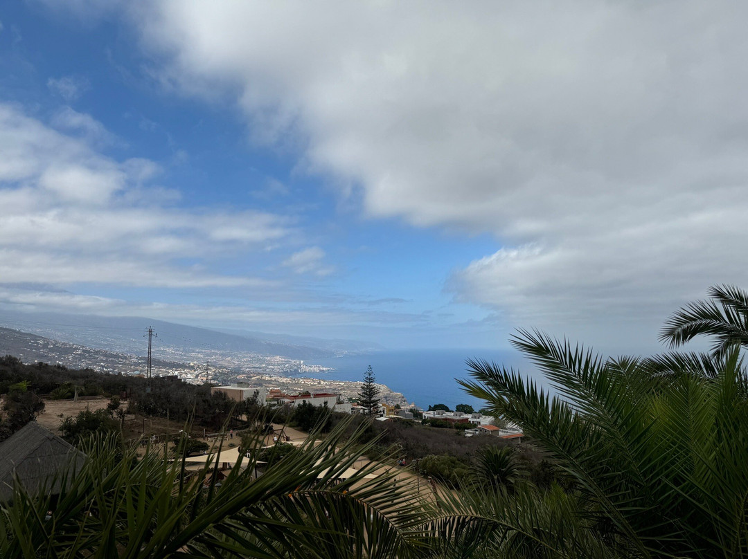 Parque Natural El Montillo-圣克鲁斯-德特内里费必去景点