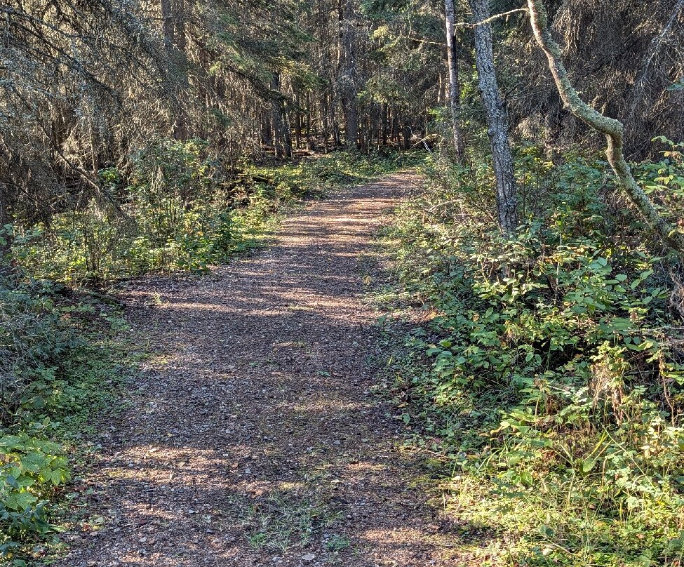 Garner Lake Provincial Park-烟湖必去景点