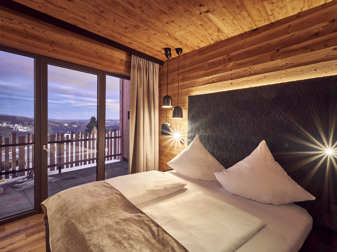 Hunderesort Waldeck主图