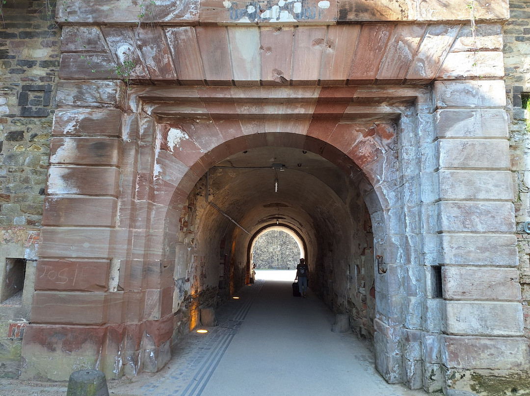 Ehrenbreitstein Fortress景点图片