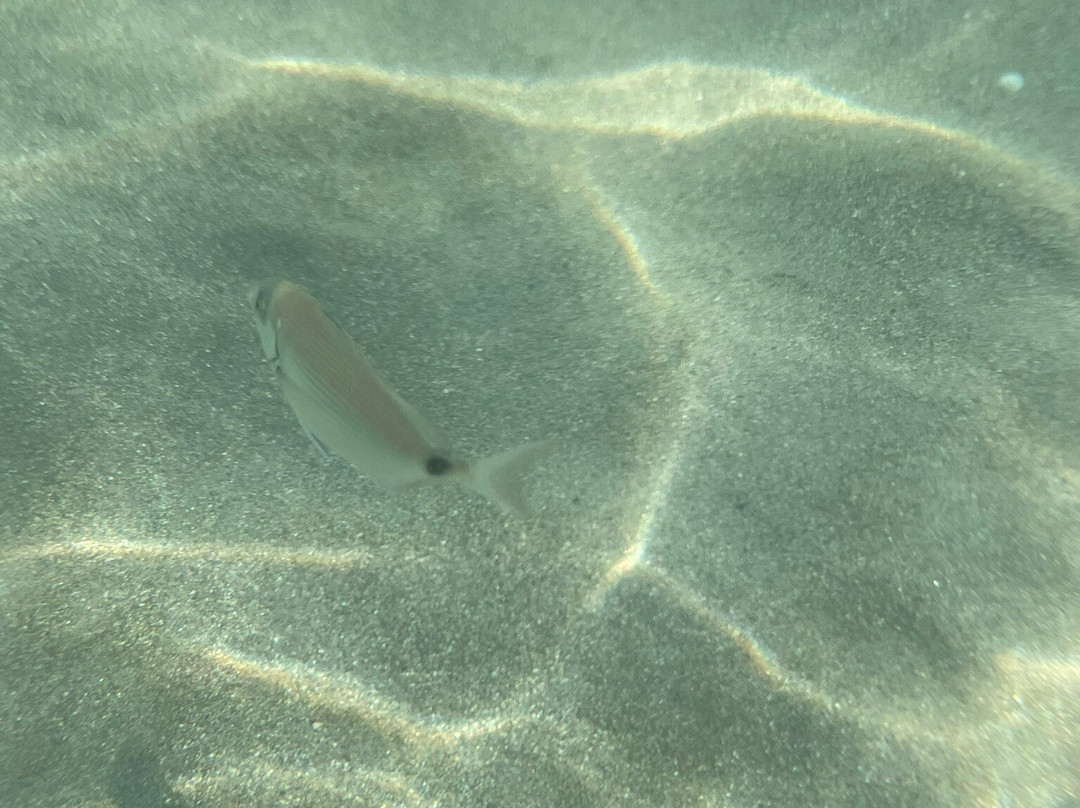 Kontokali Beach景点图片