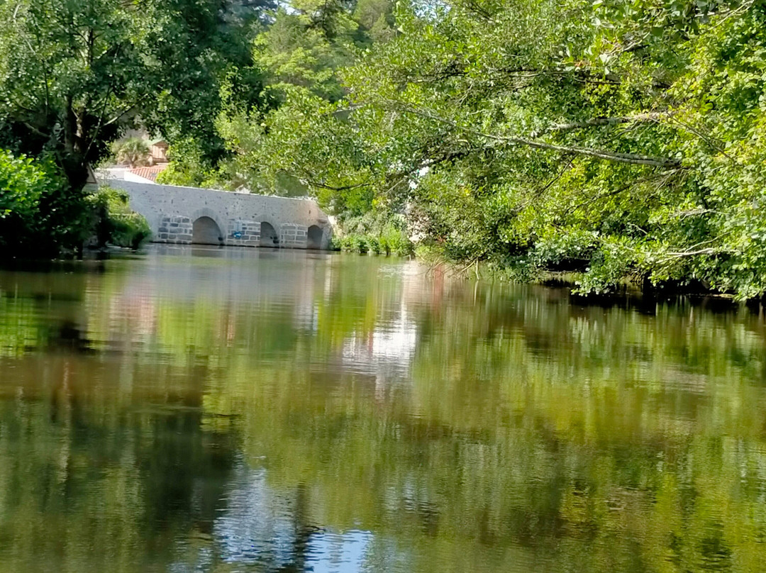 Canoë Kayak de la Boulogne景点图片
