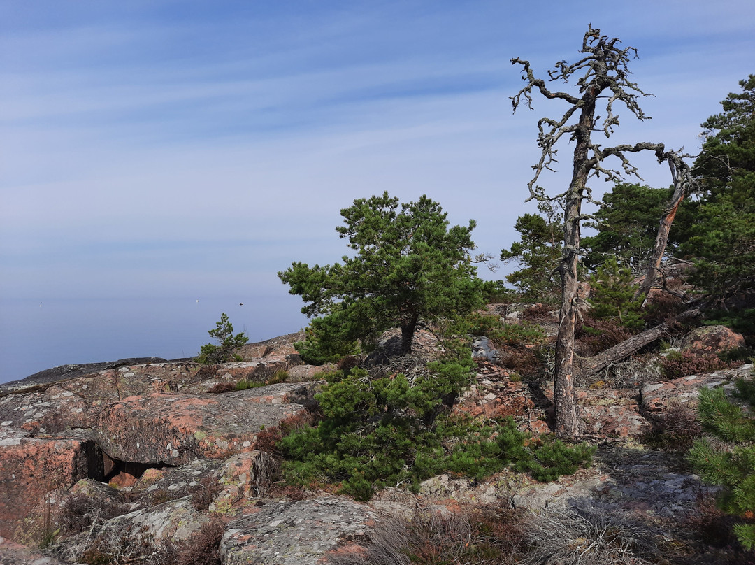 Djurö National Park景点图片