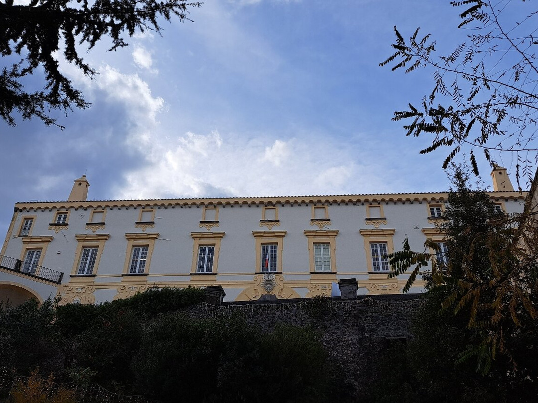Palazzo Mediceo景点图片