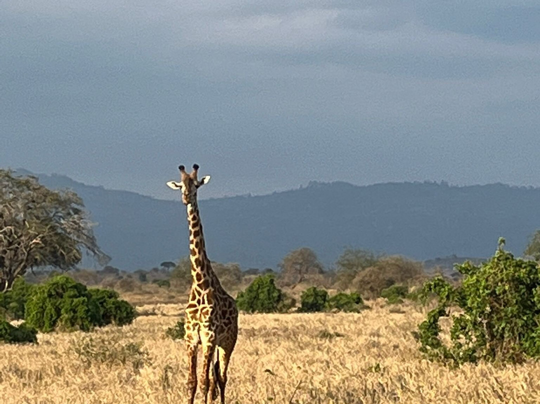 Taita Hills Wildlife Sanctuary景点图片