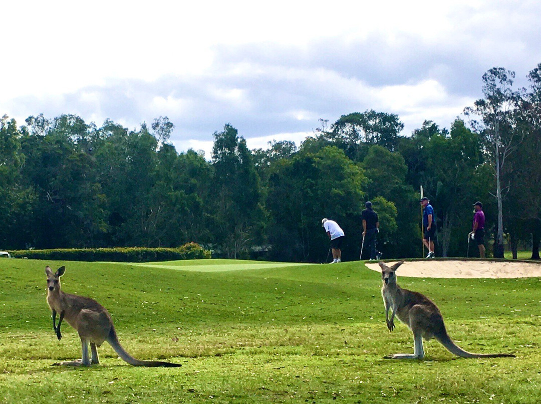 Tewantin-Noosa Golf Club景点图片
