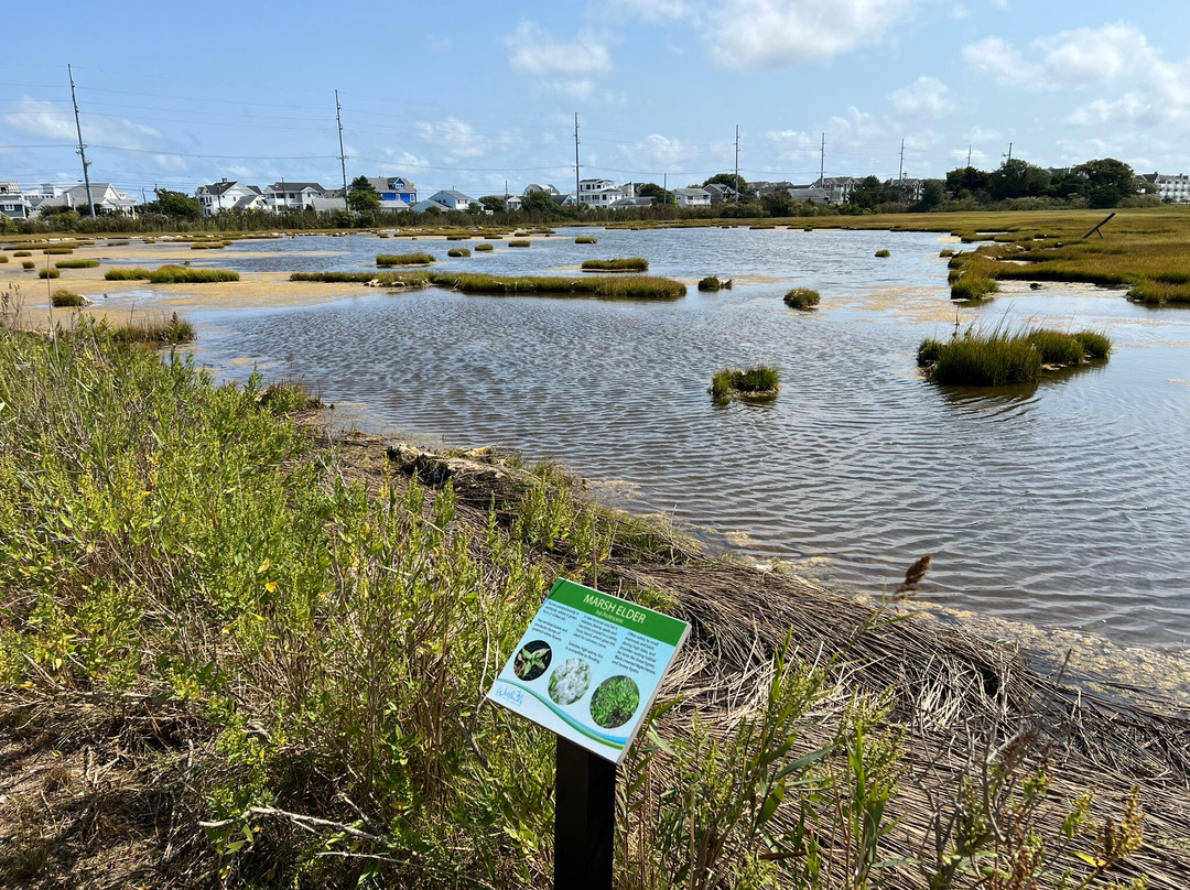 The Wetlands Institute景点图片