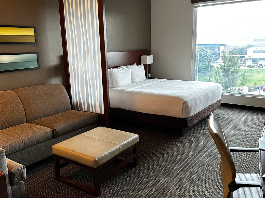 圣何塞皮纳雷斯凯悦广场酒店主图