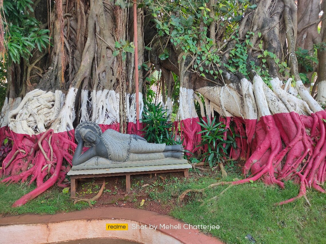 Paradise Villas & Resort主图