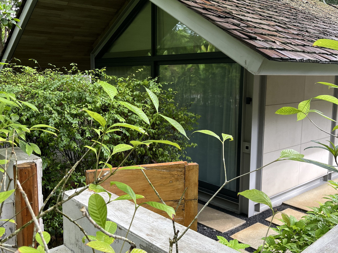 Island Escape Burasari主图