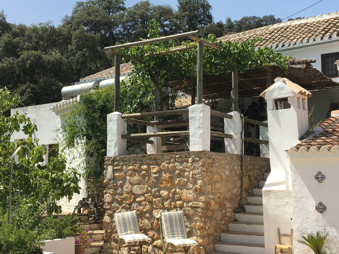 Gourmet B&B Finca Las Encinas主图