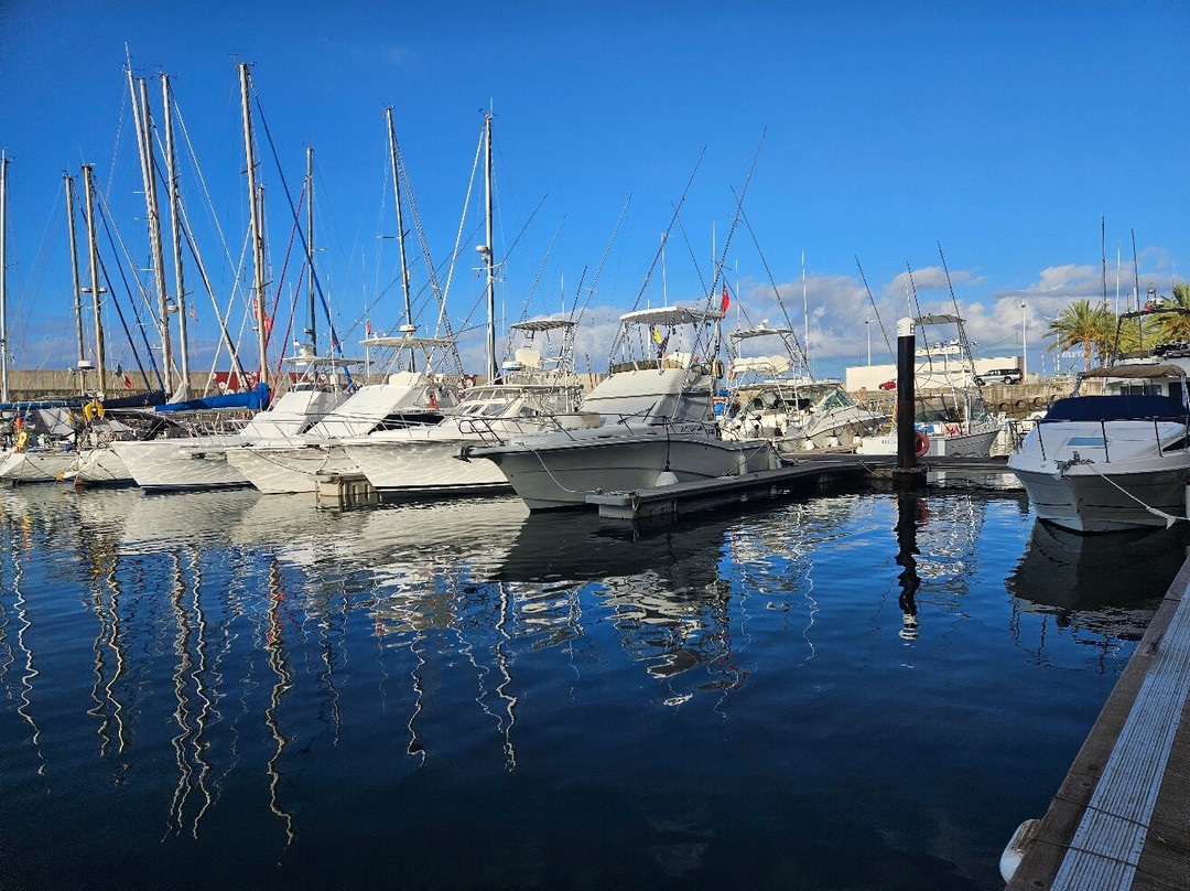 Lobosonda - Madeira Whale Watching-卡列塔必去景点