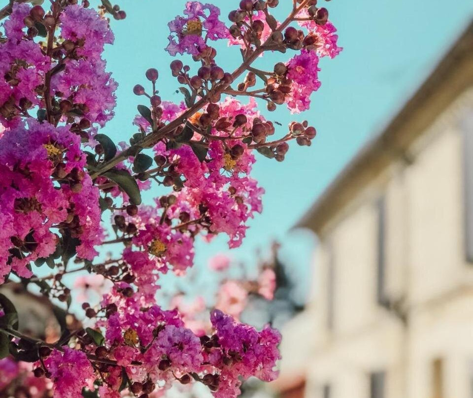 Chateau La Pontete主图