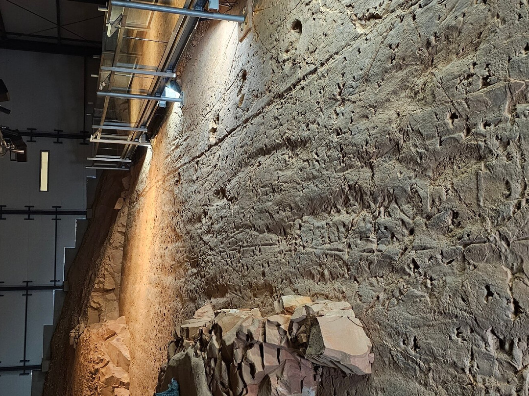 Dinosaur Stampede at Lark Quarry Conservation Park-Winton必去景点