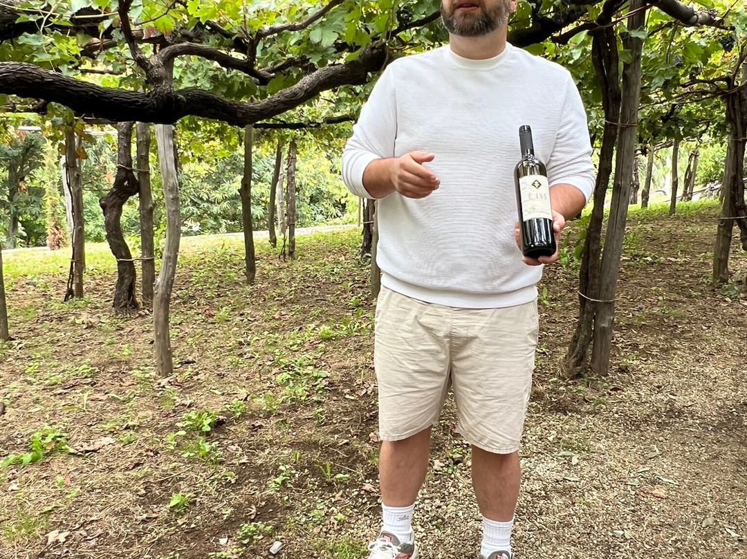 Tenuta San Francesco景点图片