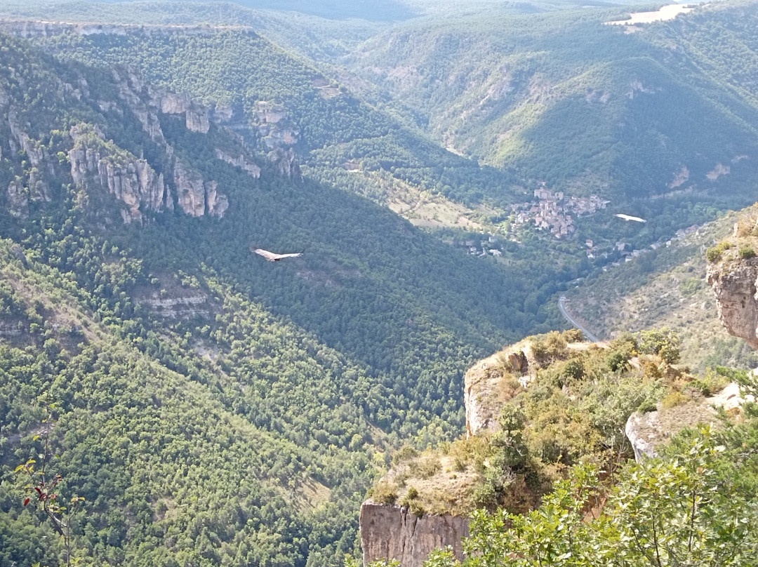 Gorges de la Jonte-Meyrueis必去景点