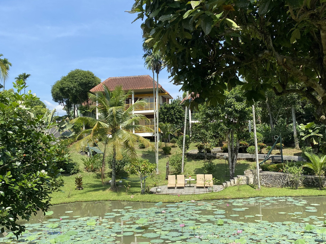 Hotel Deli River主图