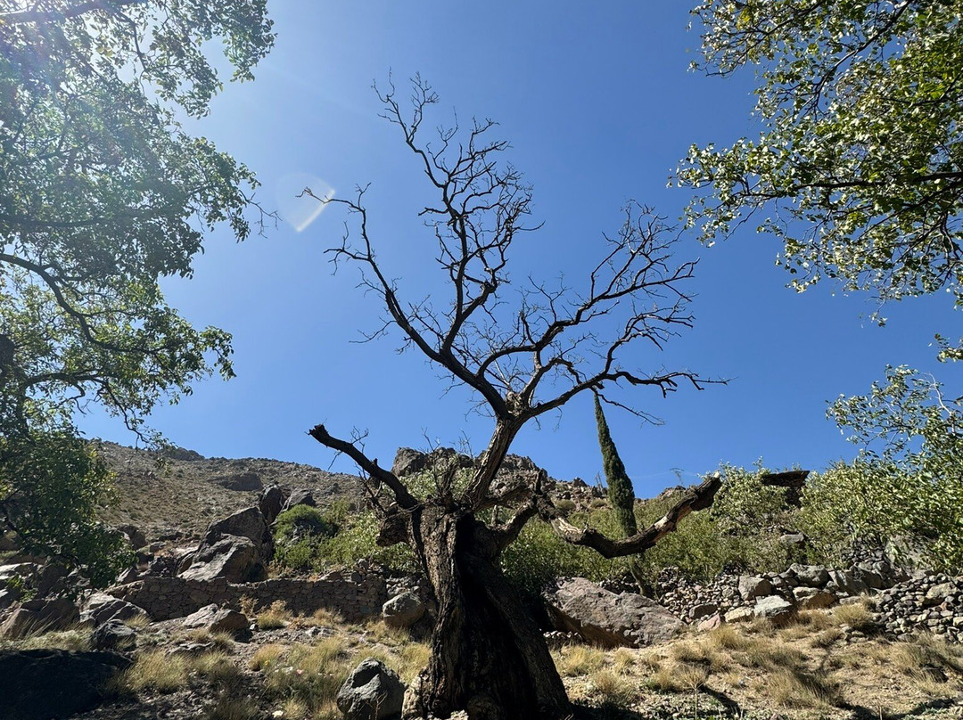 Ibrahim Amzil-马拉喀什必去景点