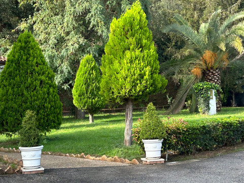 博蒙瑞汽车旅馆主图