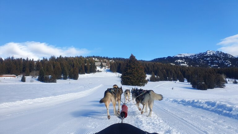 Chiens De Traîneaux Chamrousse-尚鲁斯必去景点
