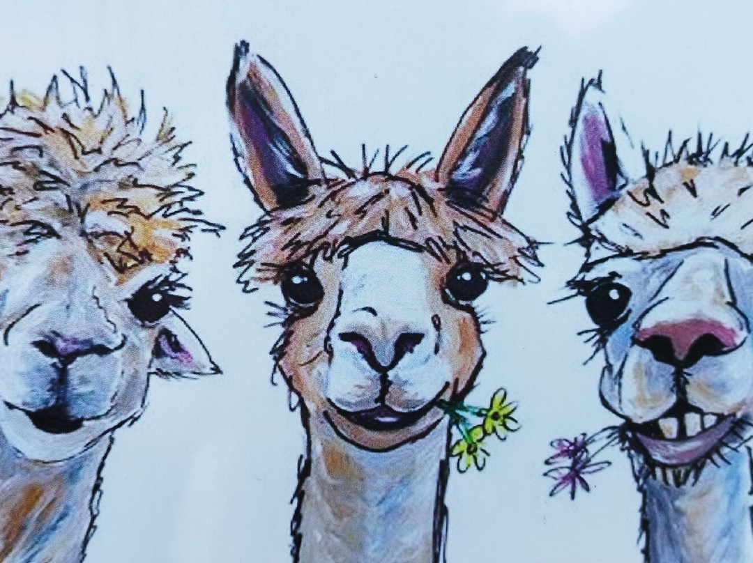 Alpacamp Il Campo Degli Angeli景点图片