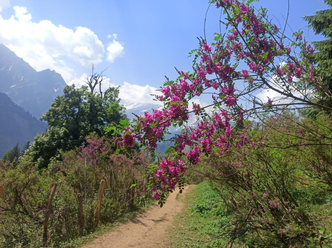 High Himalayan Adventure-默纳利必去景点