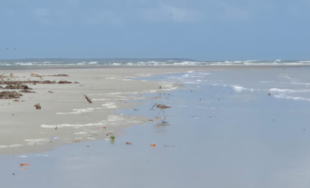 Praia do Crispim-Marapanim必去景点