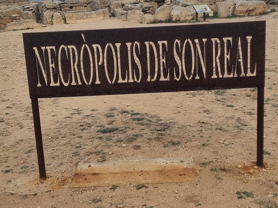 Necròpolis de Son Real景点图片
