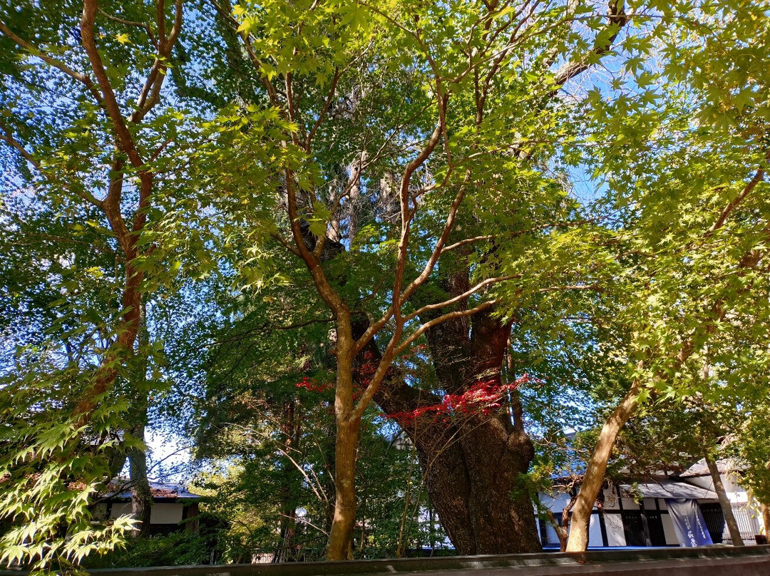 Samurai District-仙北市必去景点