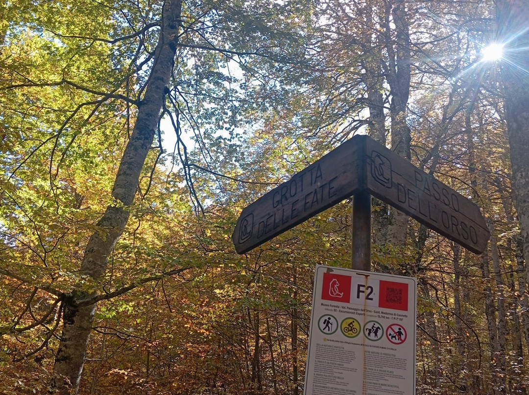 Sentiero F2 di Val Fondillo-Opi必去景点
