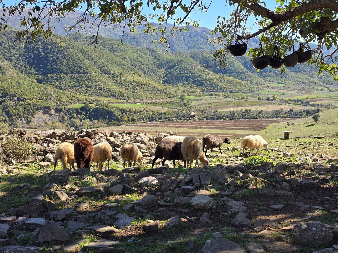 Funky Guest House主图