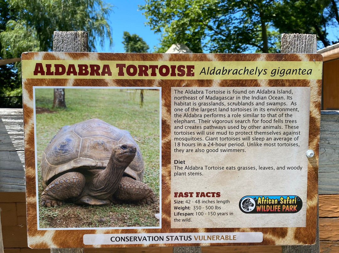 African Safari Wildlife Park-克林顿港必去景点