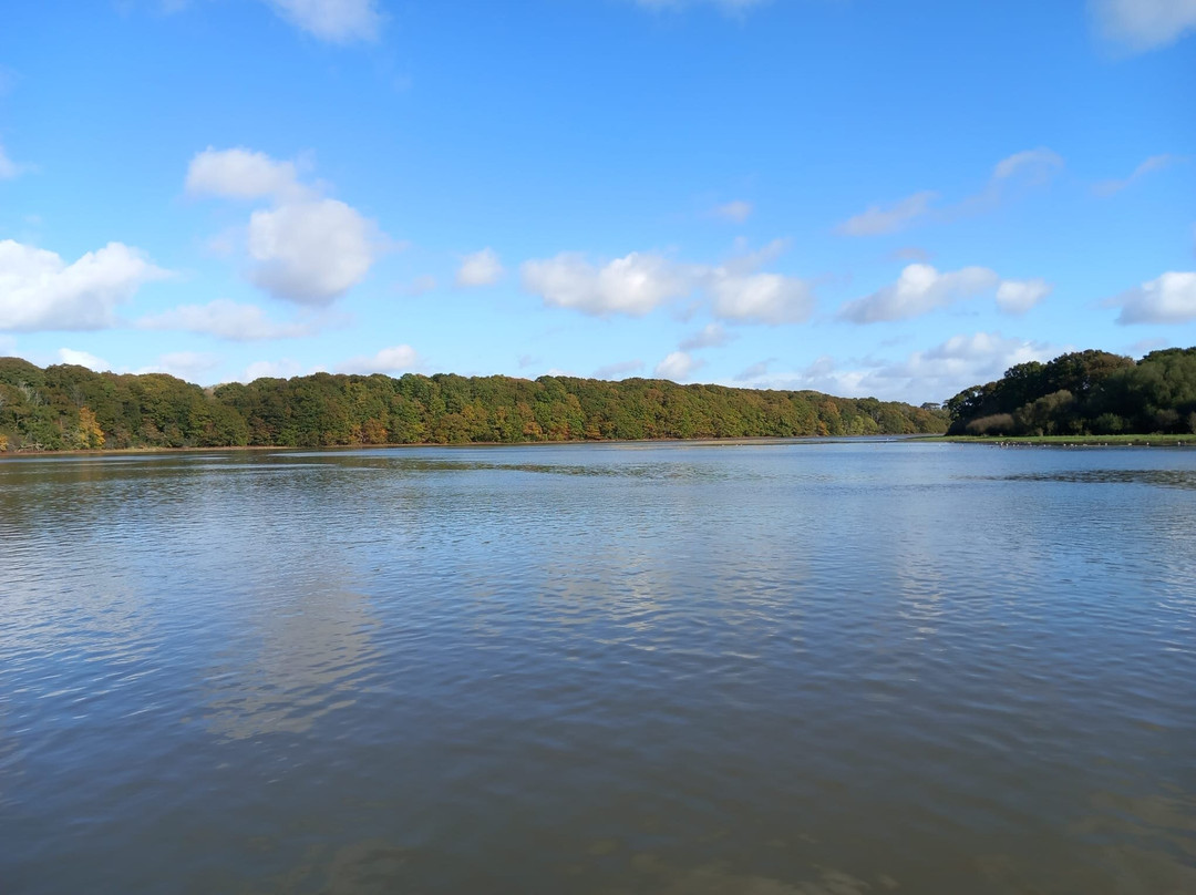River Hamble Country Park景点图片