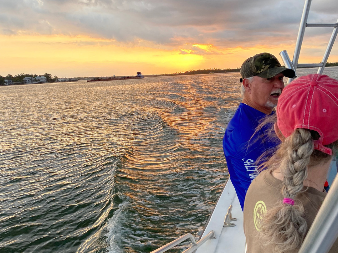 Dolphin Cruise aboard the Cold Mil Fleet-橙色海湾必去景点