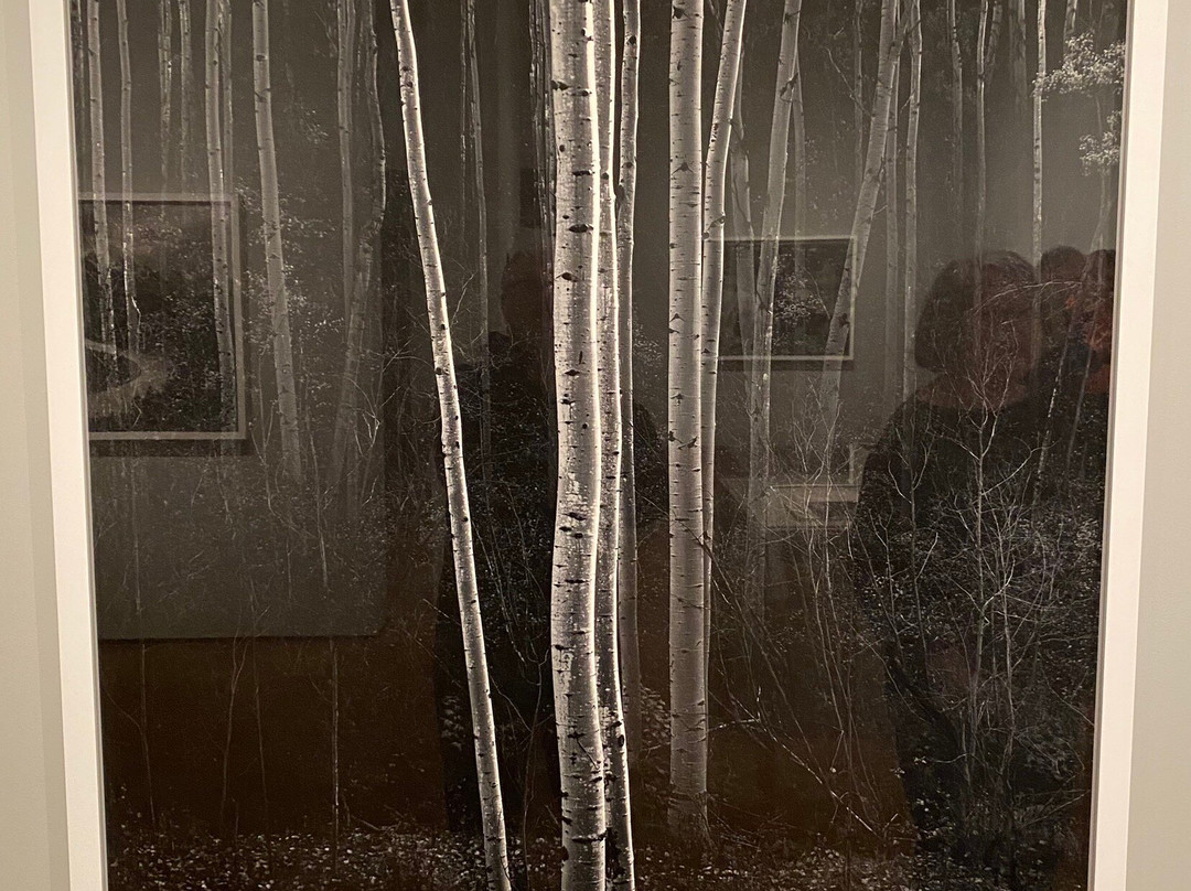 Cincinnati Art Museum-辛辛那提必去景点