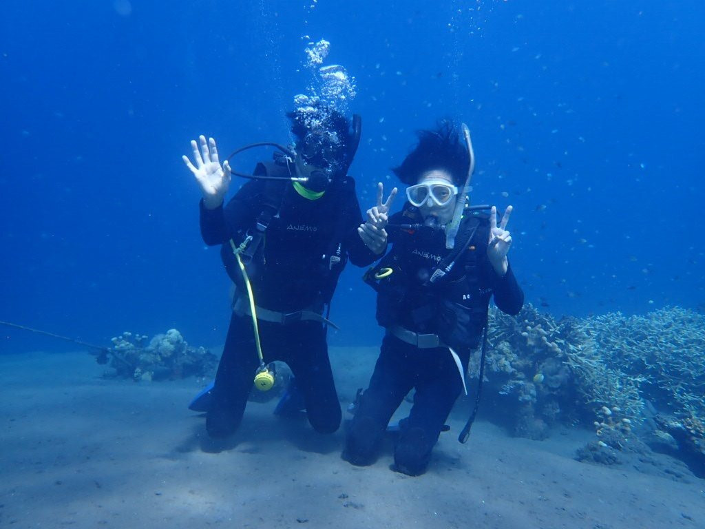 Jellyfish Divers Village-沙努尔必去景点