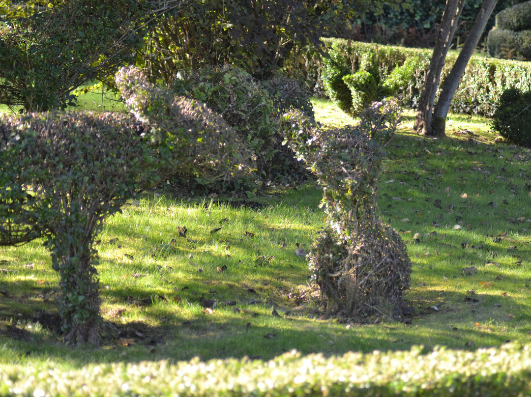 Topiary Park景点图片